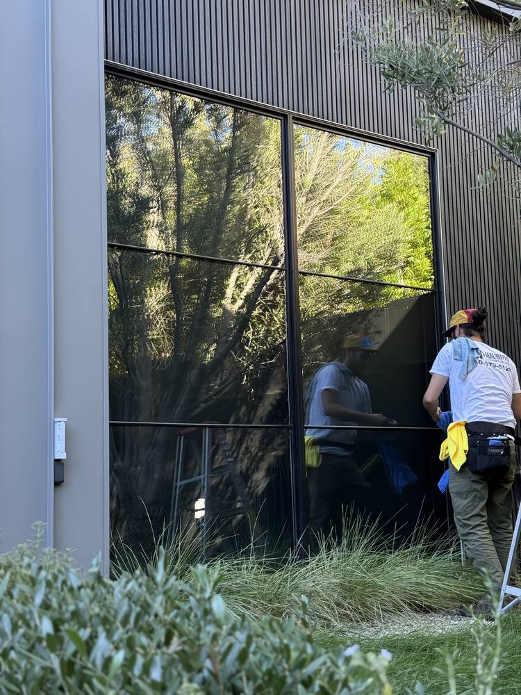 Crew cleaning a dark tinted window wall
