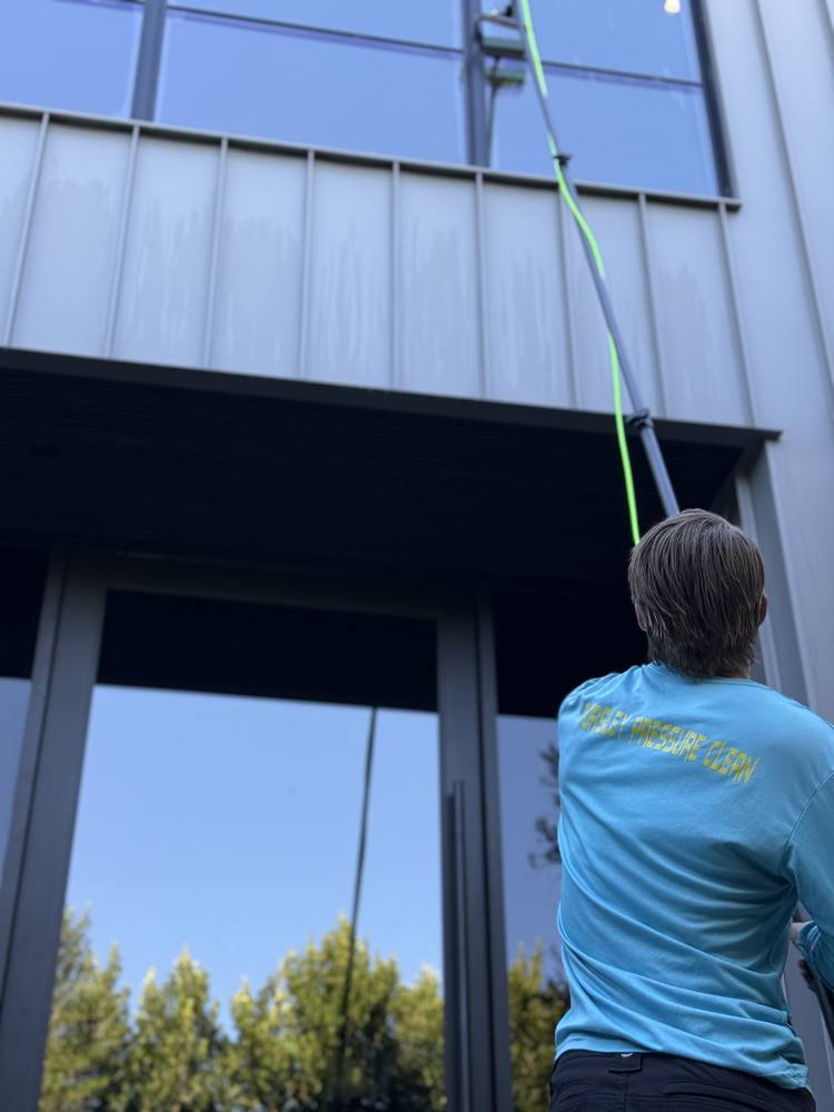 Sudbud technician working a water-fed pole on a two-story home